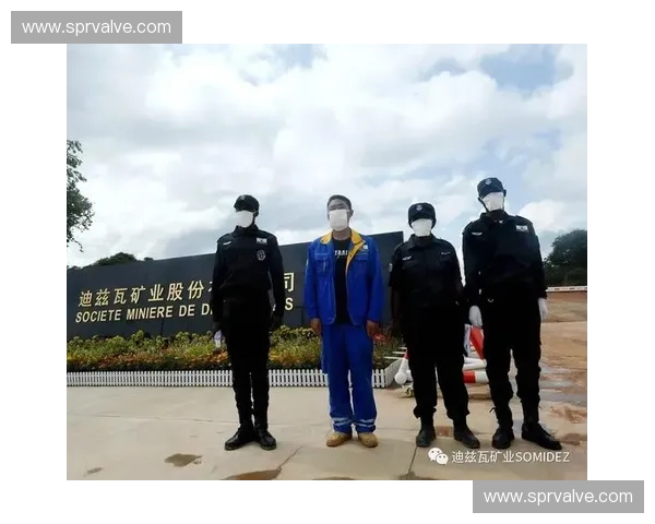 大型活动入场秩序管理与安全保障优化策略研究